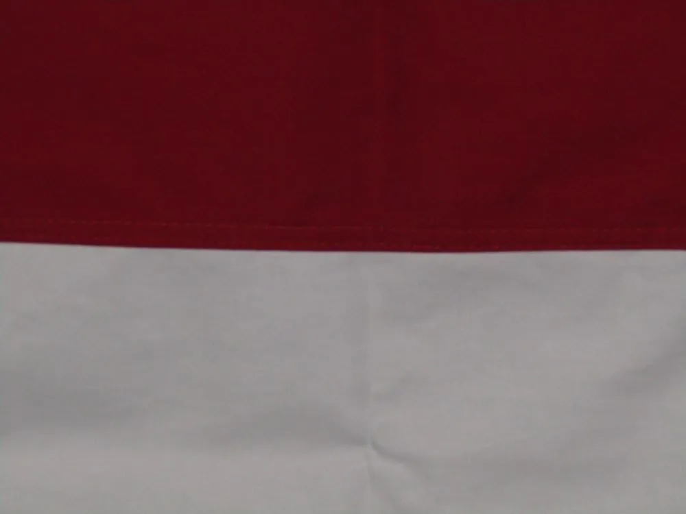 AES 3x5 Embroidered Sewn State of North Carolina NC 100% Cotton Flag 3'x5' House Banner Brass Grommets Fade Resistant Double Stitched Premium Quality