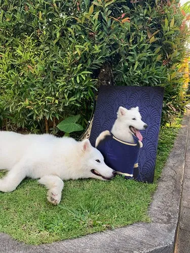 Aozora - Japanese Geisha & Kimono Inspired Custom Pet Portrait Canvas