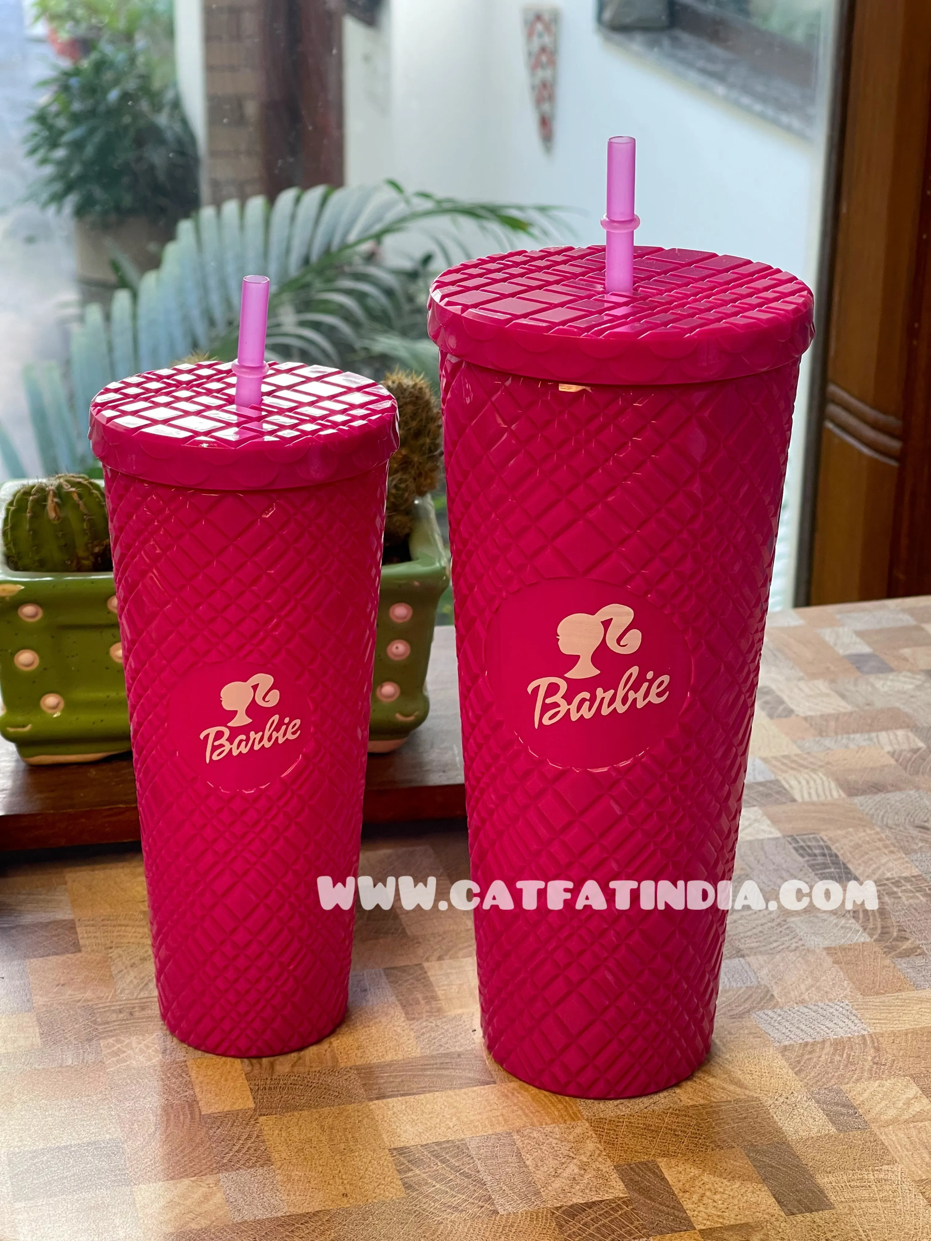 Barbie flask ( Set of 2 710ML and 600ML )