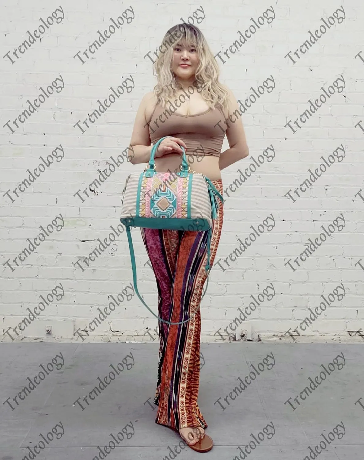 Boho Tassel Leaf Charm Aztec & Stripe Embroidered Canvas Satchel Tote Handbag Purse
