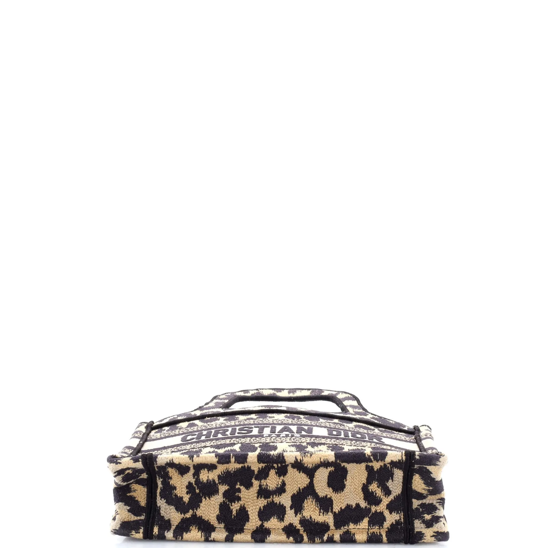 Book Tote Mizza Embroidered Canvas Mini