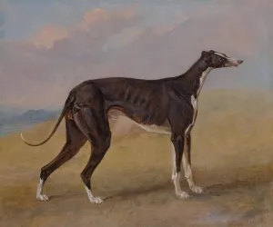 Canvas Turk the Black and White Greyhound Dog Portrait 1822 Painting by George Garrard 11" X 14" Image Size Repro on Canvas Shipped Rolled Up. Gil71