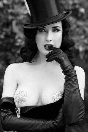 Dita Von Teese Spun Silk Fabric Cloth Wall Poster Print (20x13inch 50x33cm)