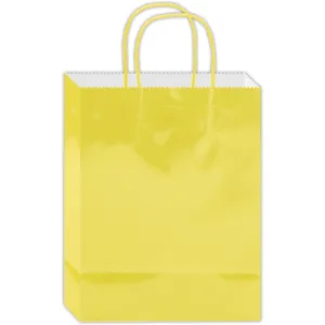 gift bag 13x10.5x5.5 Inch/L 60s
