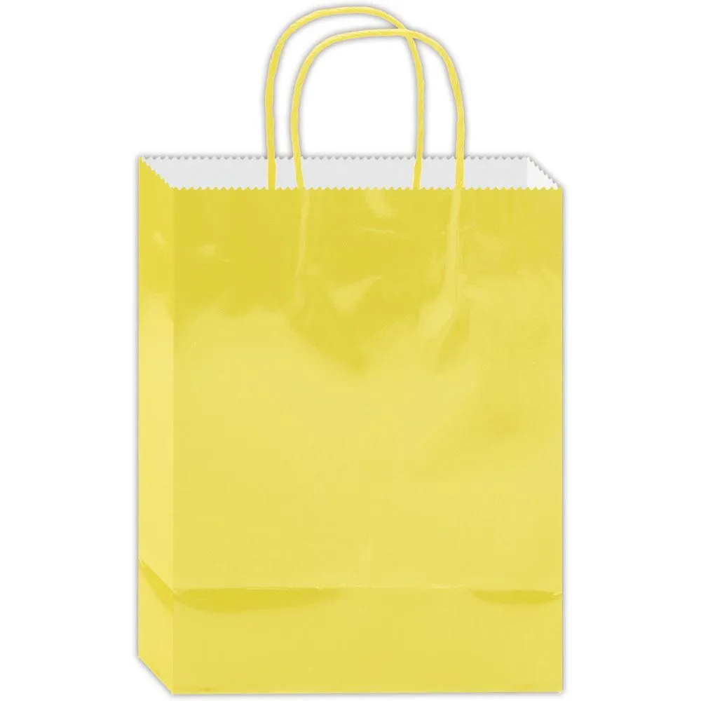 gift bag 13x10.5x5.5 Inch/L 60s