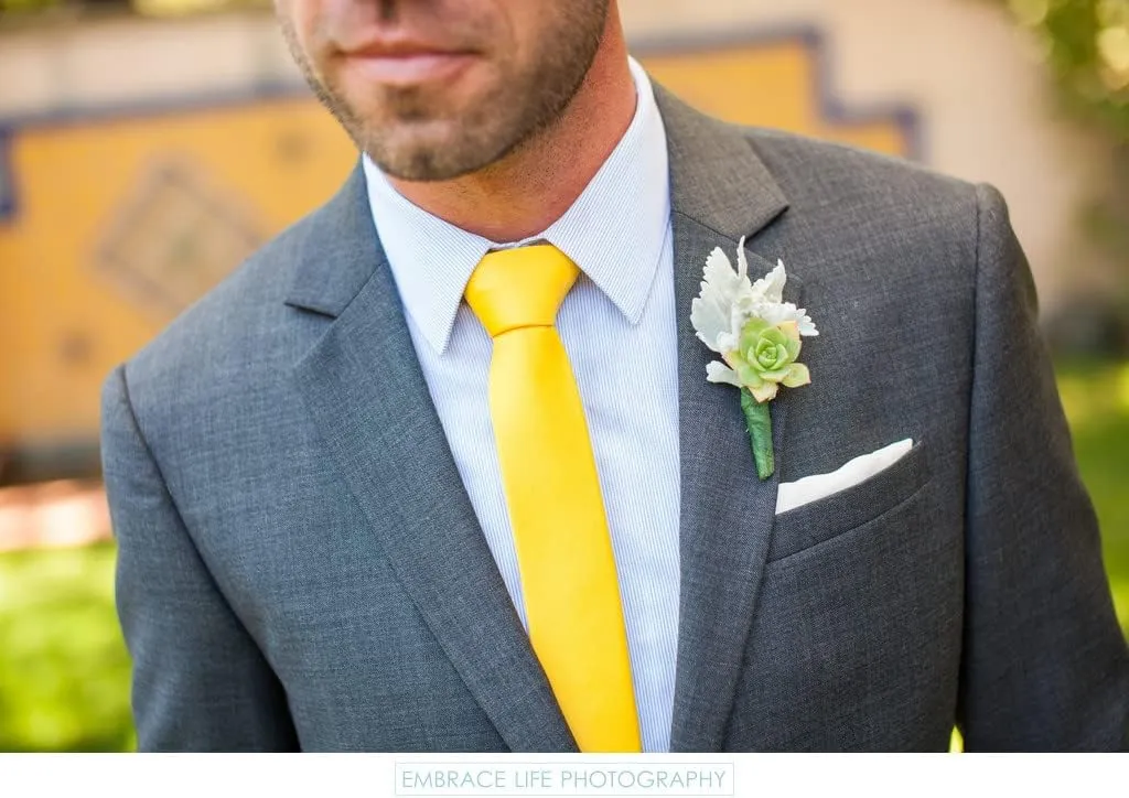 HISDERN Mens Ties Solid Color Wedding Ties and Pocket Square Neckties Clip Sets Business Formal Satin Ties for Men