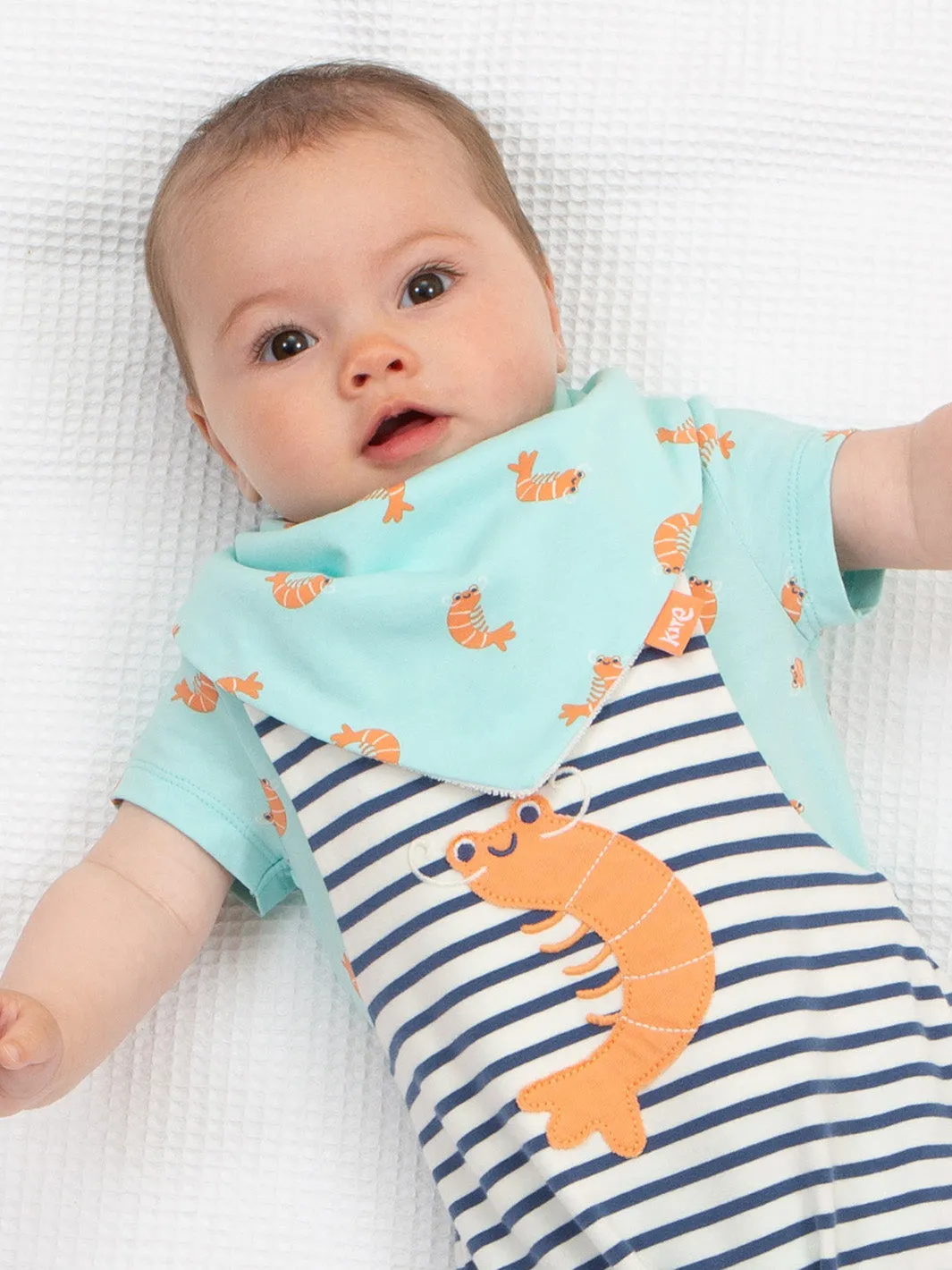 Little shrimp bib