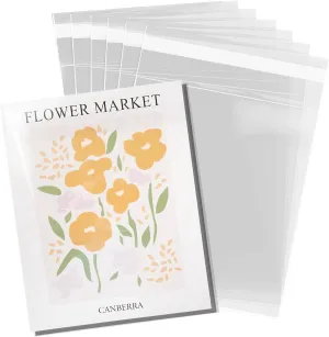 Pack It Chic - 11” X 14” (200 Pack) Clear Resealable Cello Poly Bags - Fits 11X14 Prints, Photos, Documents - Self Seal