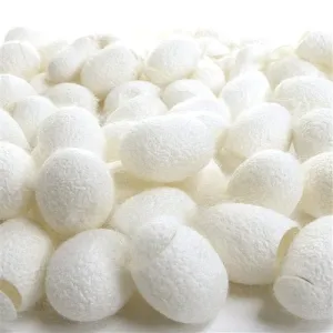 Paradise Fibers Cut Silk Cocoons (1 oz bag)