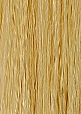 Part-Mesh (Small Base) - French Refined