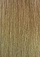 Part-Mesh (Small Base) - French Refined