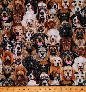 Timeless Treasures Cotton Packed Dogs Portrait Dog Breeds Pets Animals Brown Cotton Fabric Print by The Yard (MICHAEL-CD2947-NATURAL)