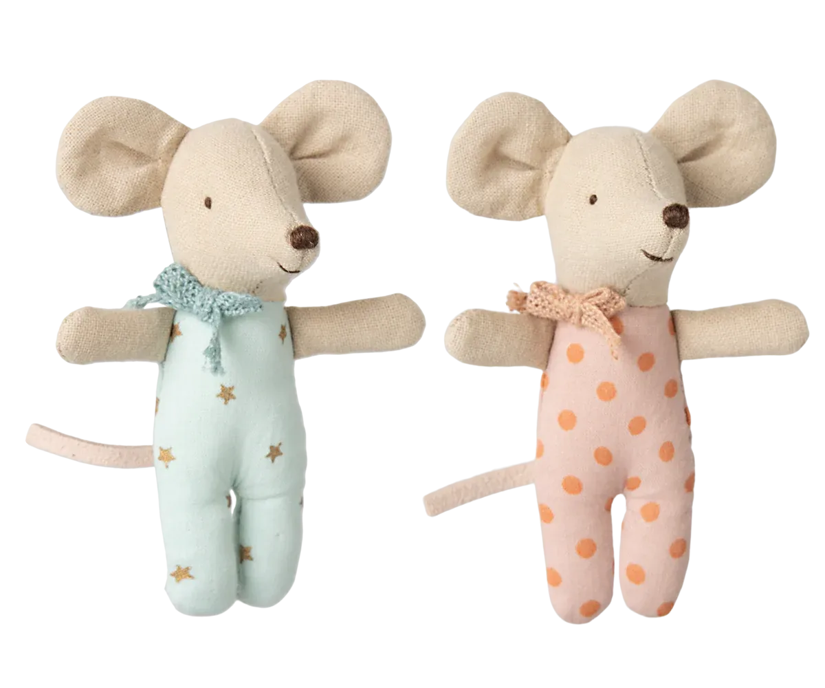 Twin baby mice in matchbox